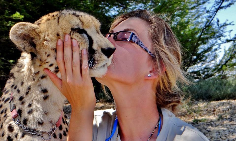 cheetah handler interview