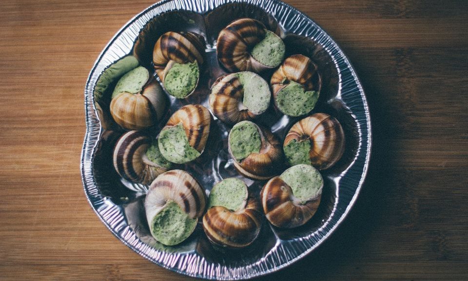 escargot in dish on wooden table