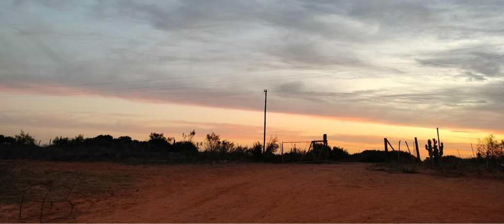 sunset on farm road
