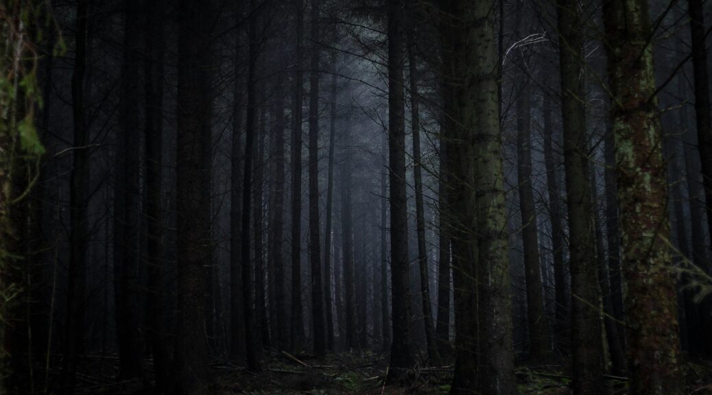 eerie forest